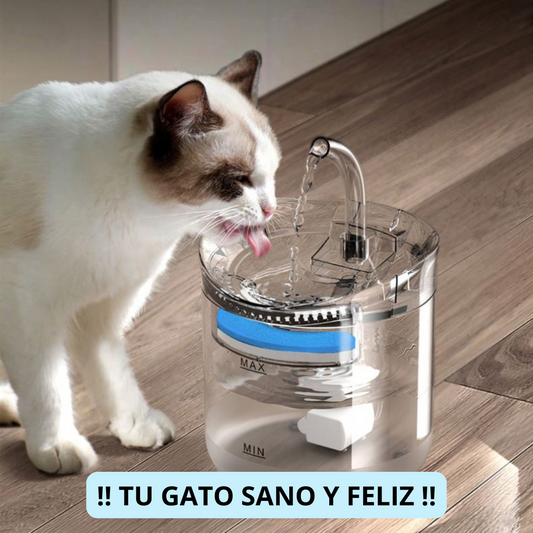 Fuente Gato Feliz